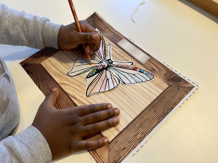 Workshop – Nét Echt! Vlinder